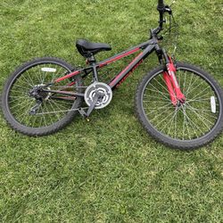 Nishiki Pueblo 24