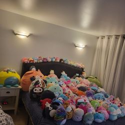 Squishmallow  Lot