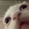 Caleb