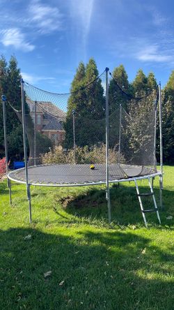 Free Trampoline. come and take it from Addison