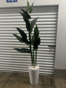 Decorative Tall Plant in White Pot – Excellent Condition!