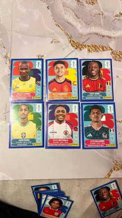 FIFA World Cup- Blue Border