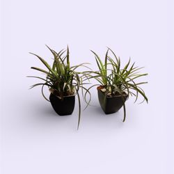 2?small Table Fake Plants