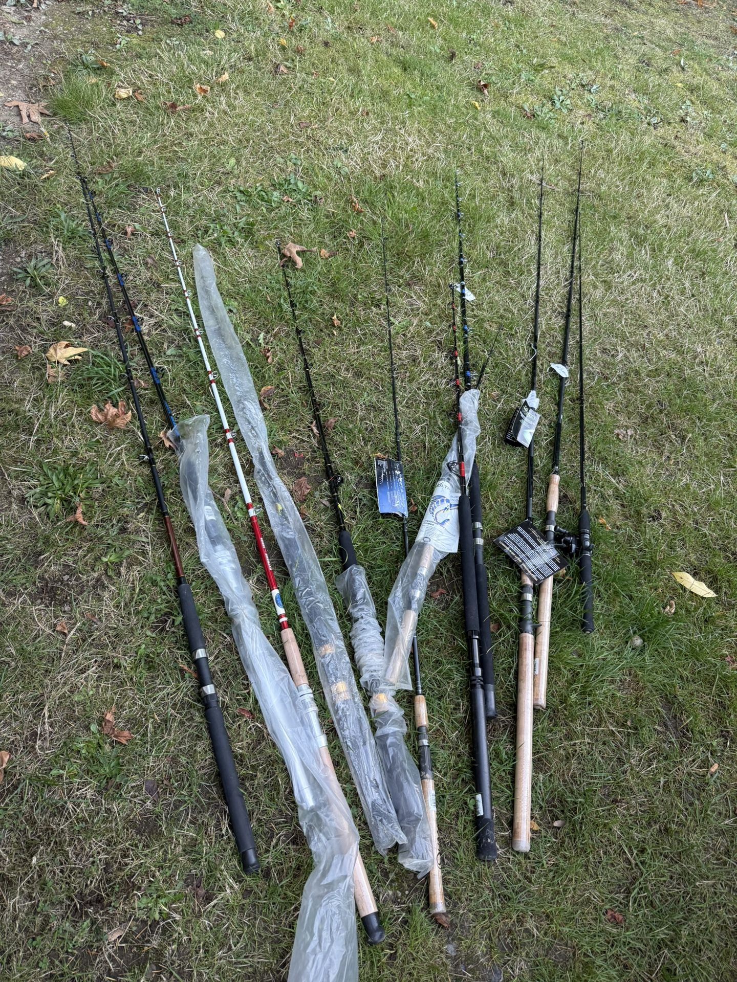 Fishing Poles