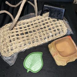Reptile Accessories 