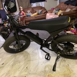 Electric Bike 