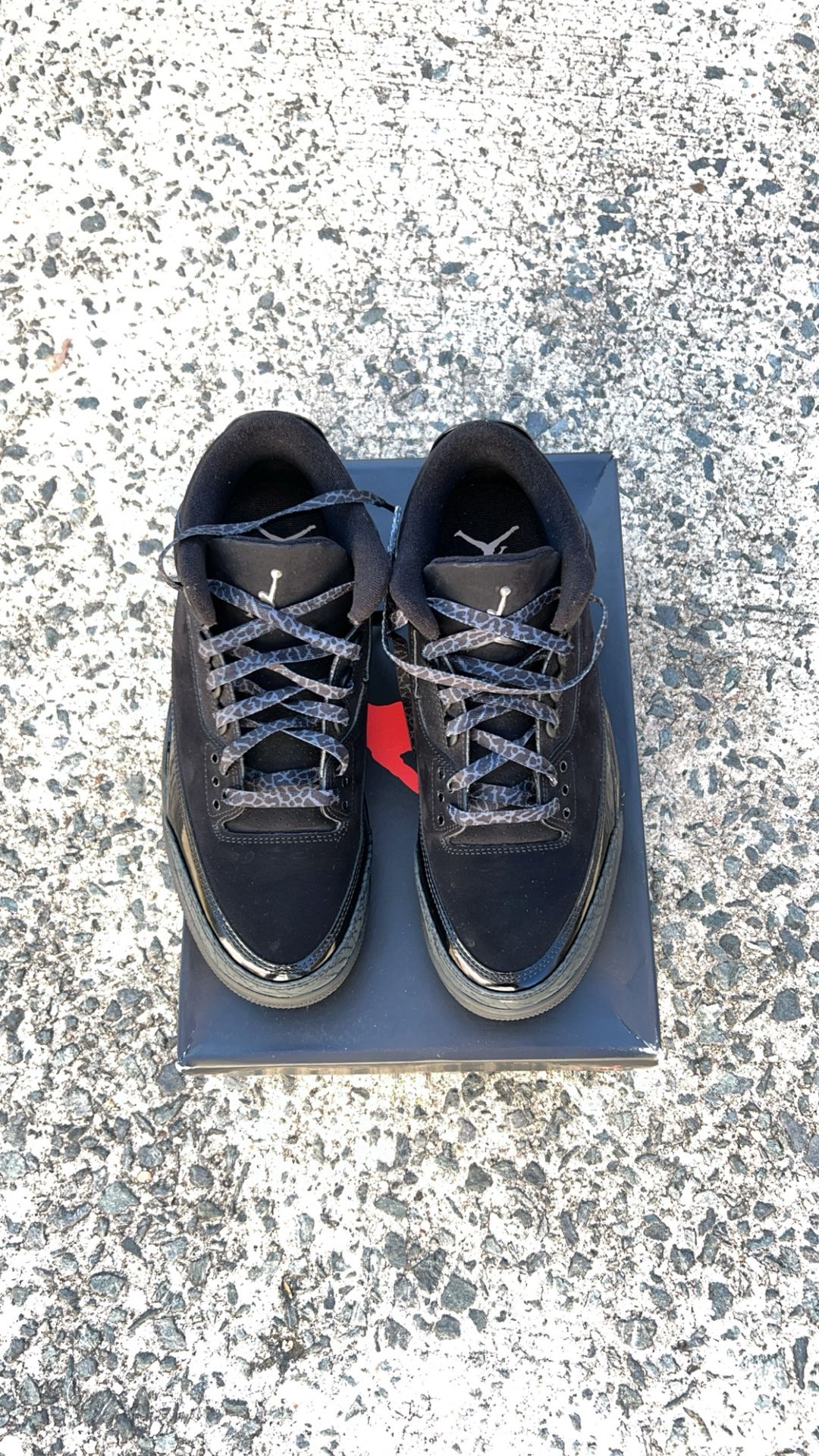 Air Jordan 3 Black Cat