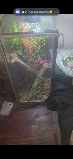 ENCLOSURE/Reptile tank building /tank