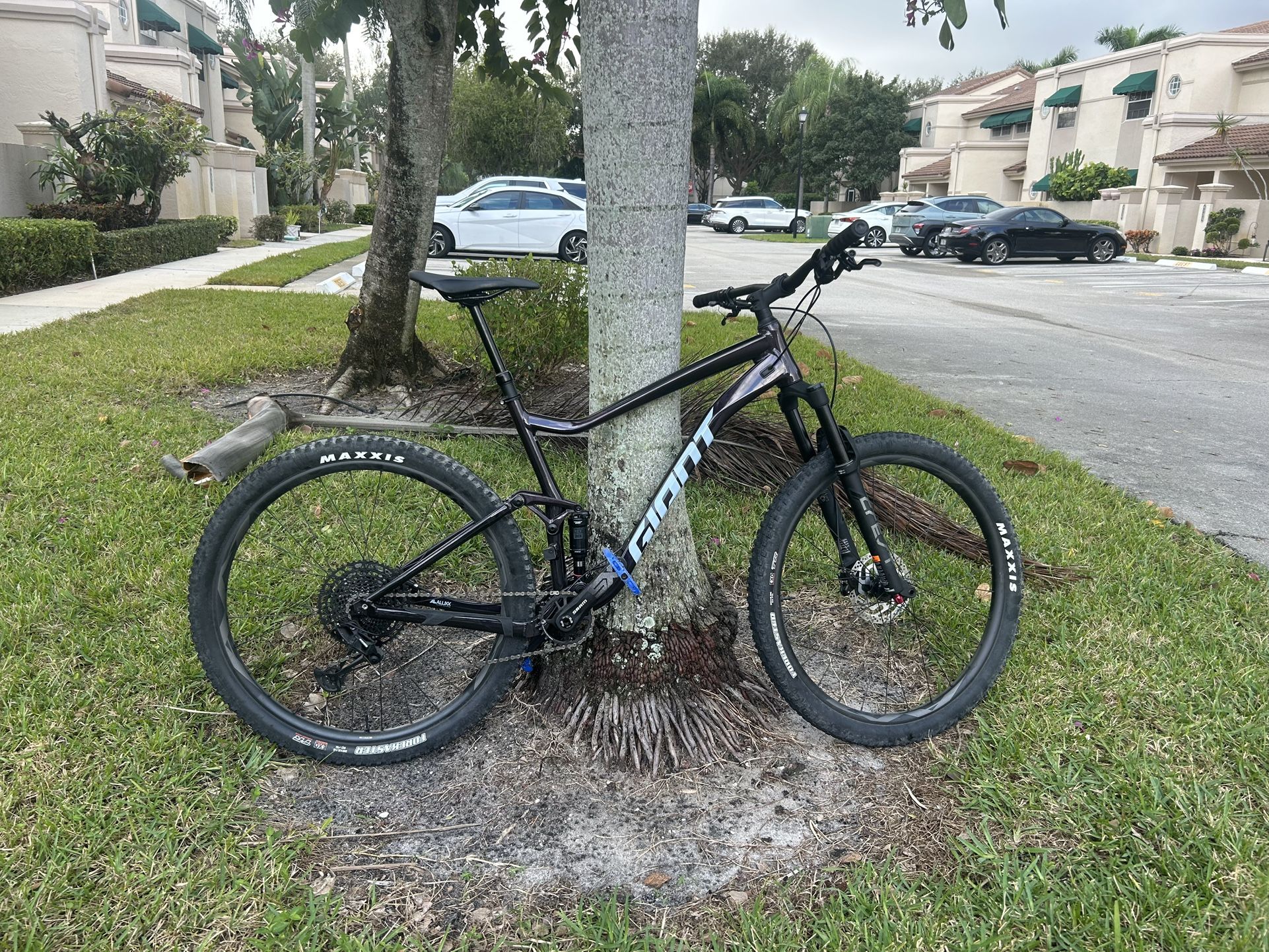 Mountain Bike Giant Stance 29 1 XL