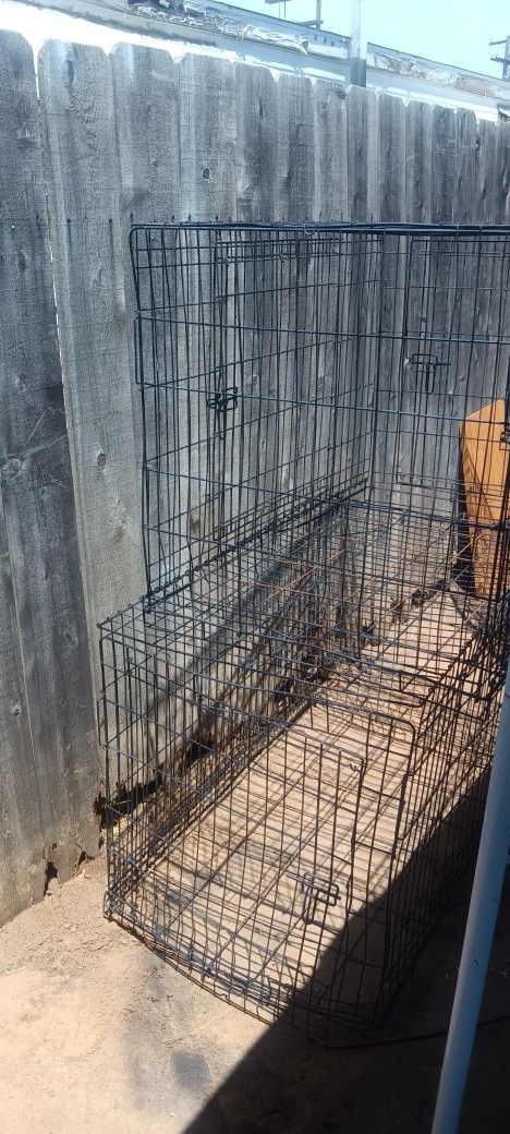 Dog Cages XL. 