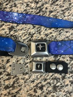 Mustang Belt And Keychain 