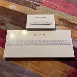 Magic Keyboard and Magic Mouse $75 For Both Each $40 Also A Mini DisplayPort To Dual-Link DVI Adapter $50