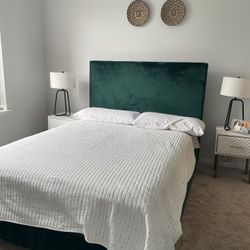 Wayfair Upholstered Velvet Bed Frame (queen) 