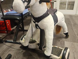 Zume Power Pony