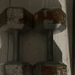 2   25lb Dumbbells 