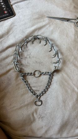 Hermsprenger Prong Collar