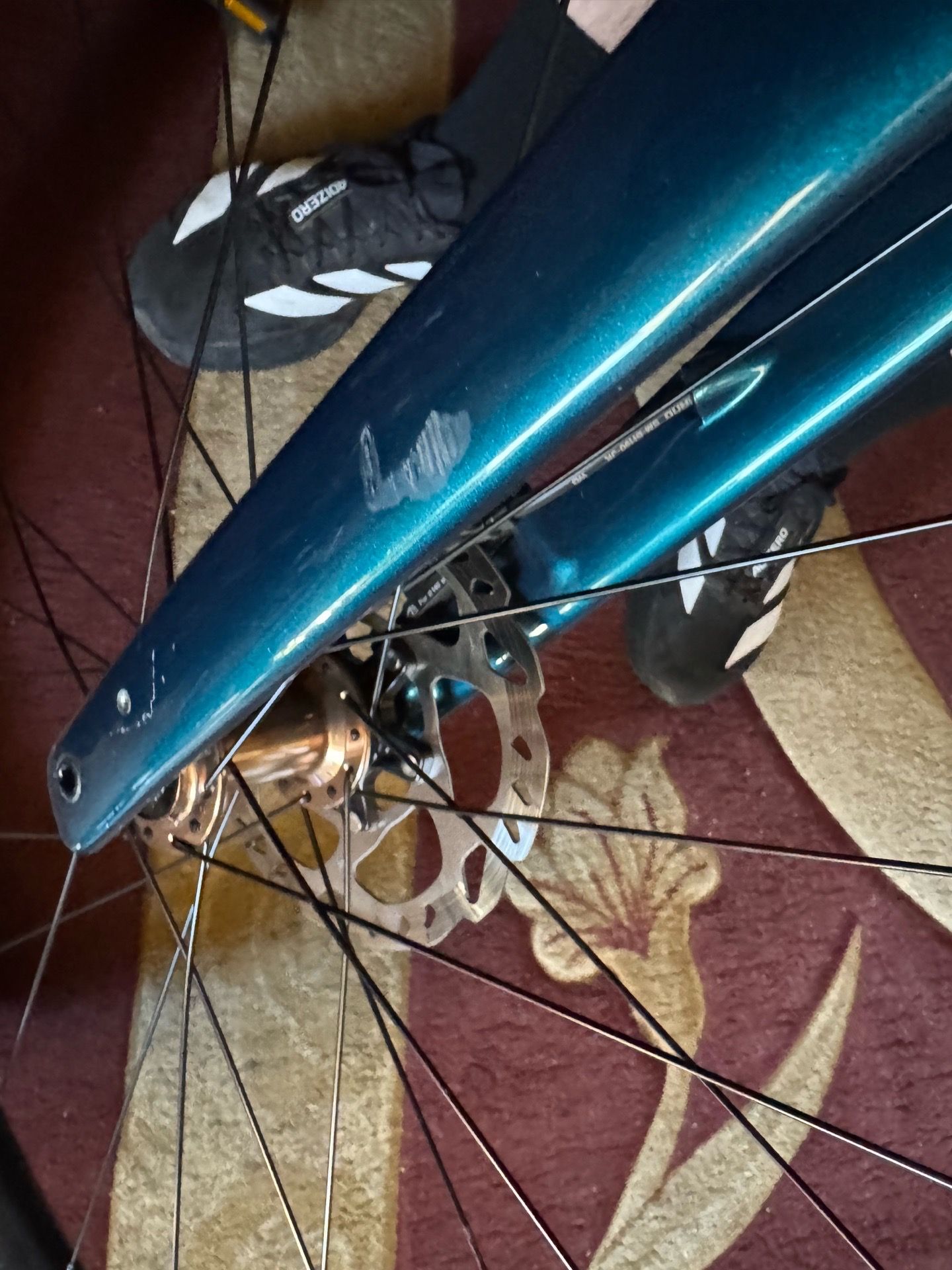 Trek donate sl5 gen4 2025