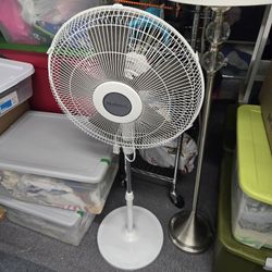 Fan