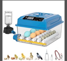 Automatic Egg Incubator with Auto Turner