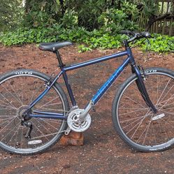 Bianchi Iseo Size Large 24 Speed Hybrid Fitness Bike