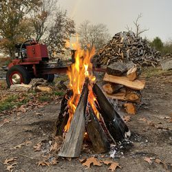 Firewood Bundles 