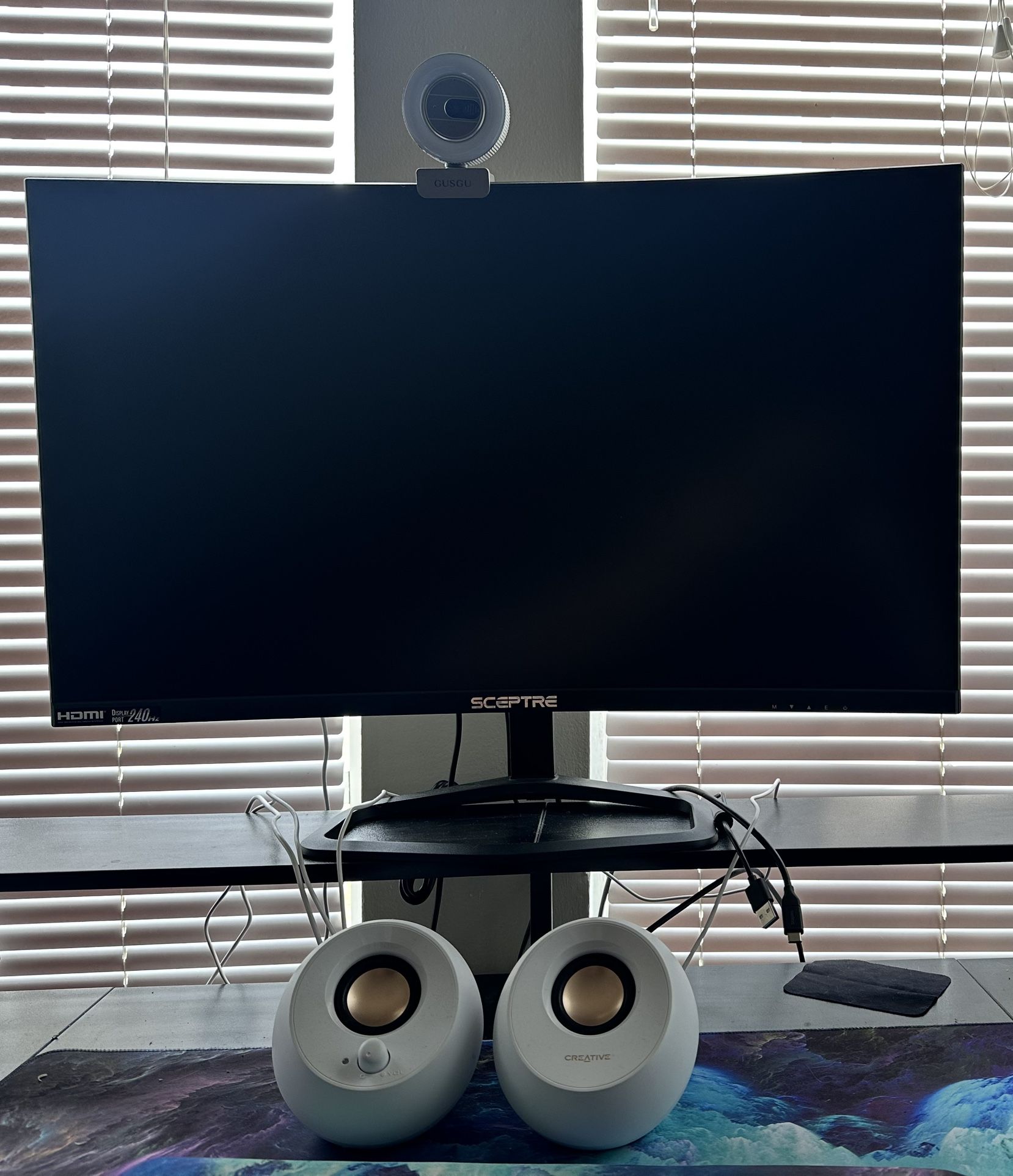 Desktop Set Up. (curved Monitor, Webcam With lighting, Pebble Speakers)