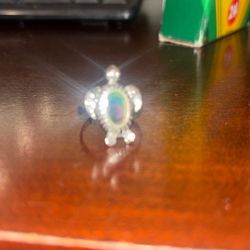 A Turtle Ring 