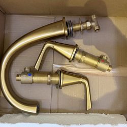Gold jacuzzi handle trim kit