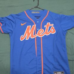 Mets Mike Piazza Jersey Size Large