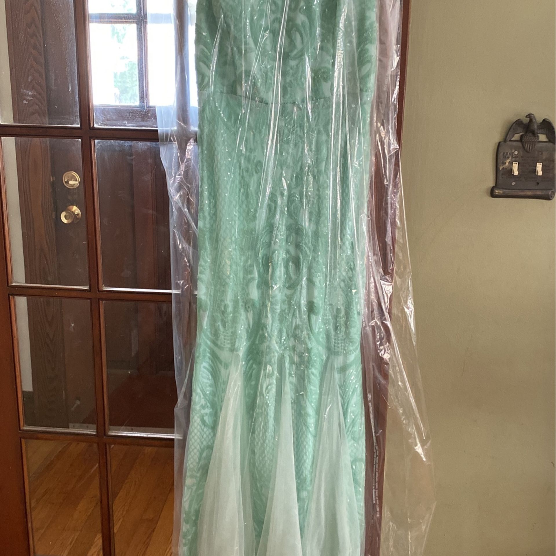 Beautiful Mint Green Fancy Dress