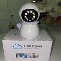 Cloud Storage Intelligent Camera 