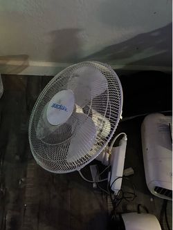 Wall mount fan