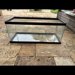 20 gallon tank 