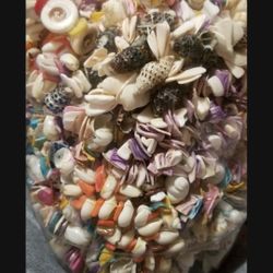 Wholesale Shell Bracelets 