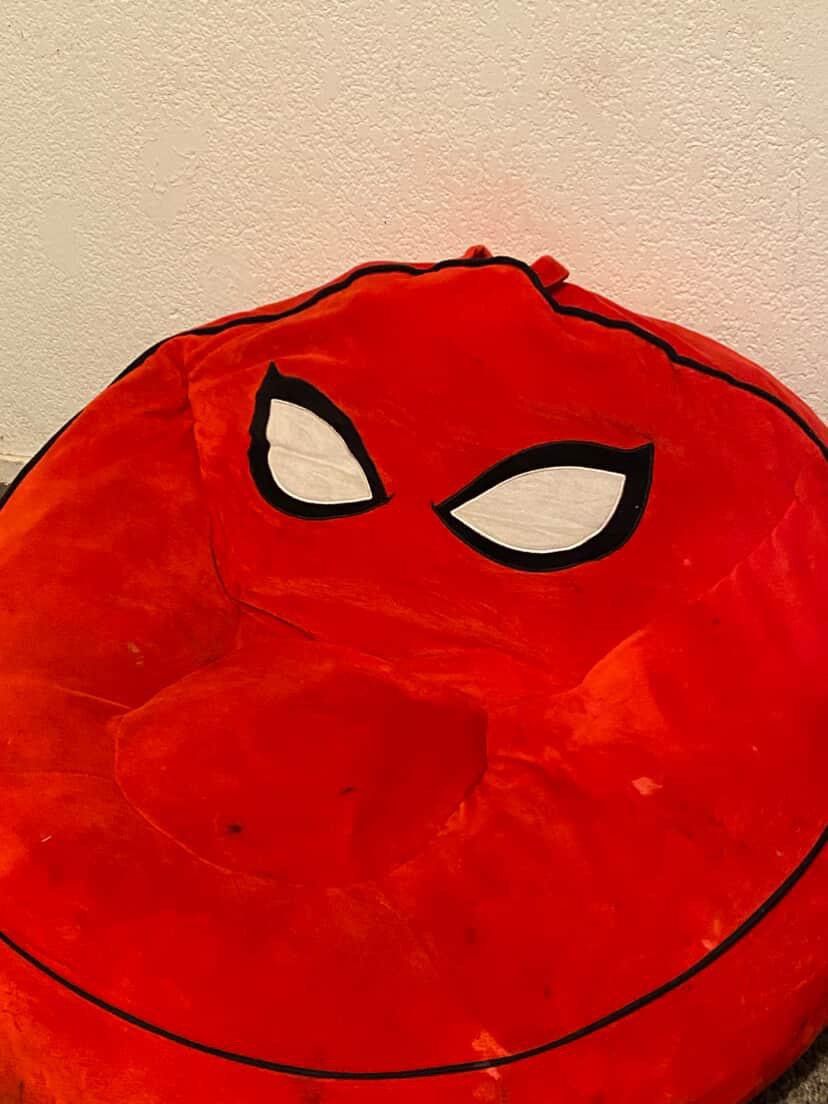 Spider Man Bean Bag