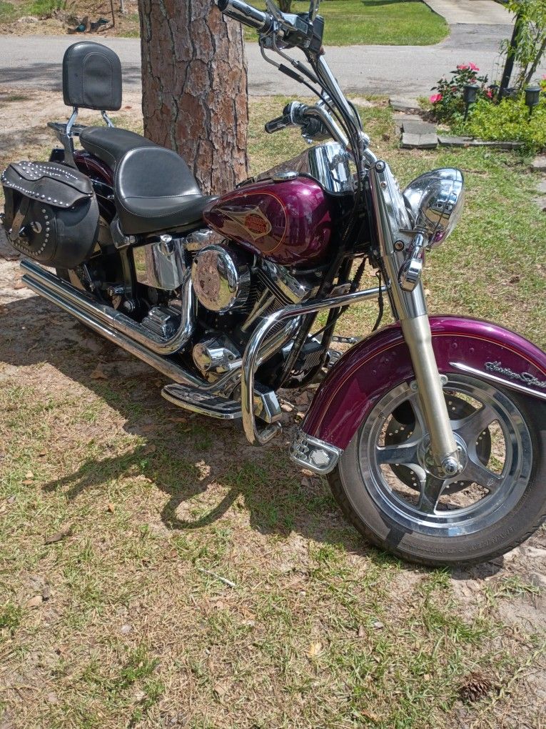 1994 Harley Davidson Soft tail custom