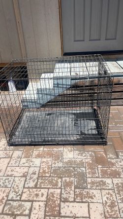 Dog kennel
