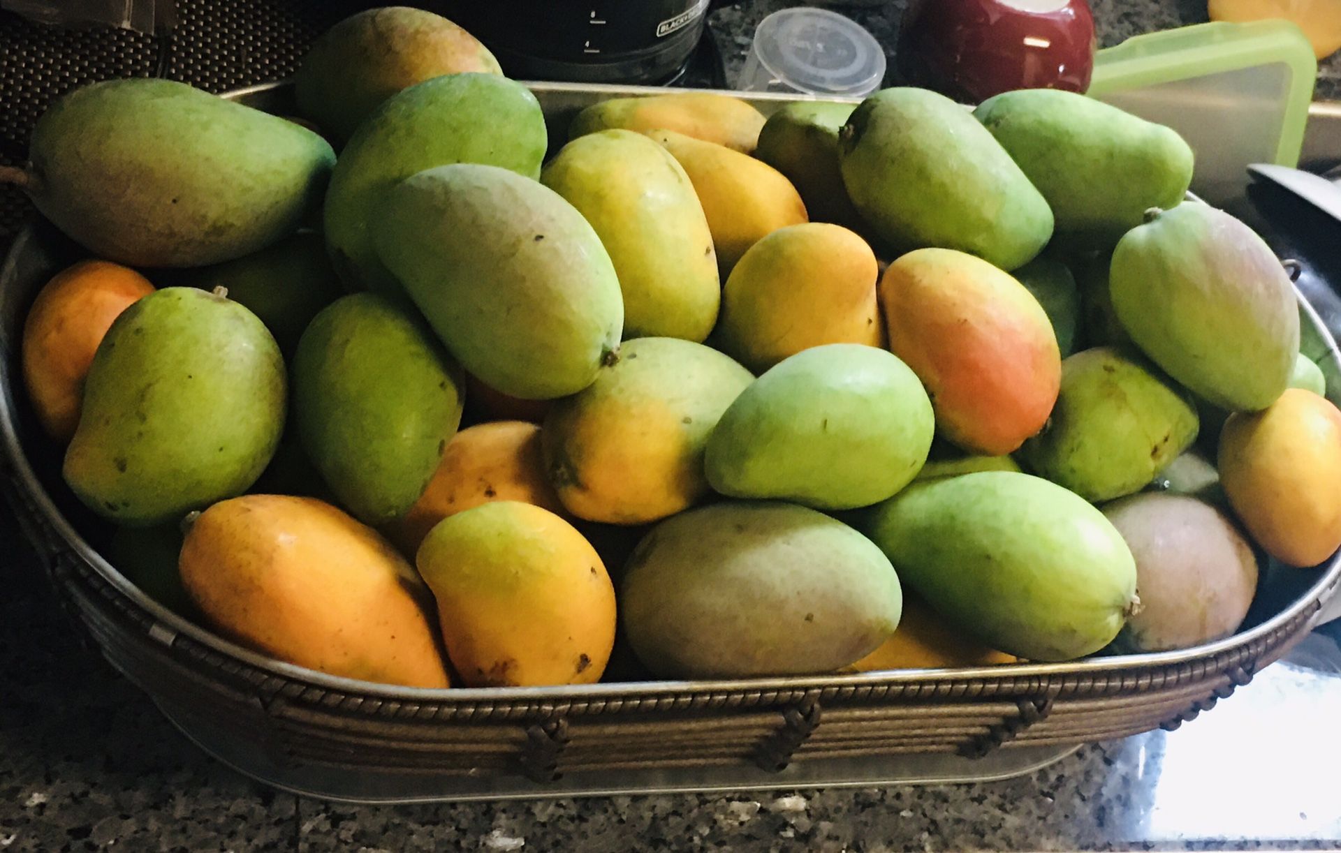 Organic mangoes