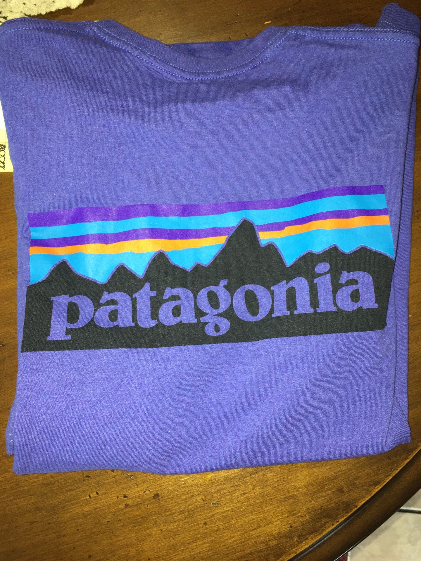 Patagonia T-Shirt