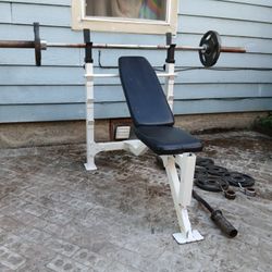 Weight Bench With Olympic Plates And Barbell And Crul Bar 