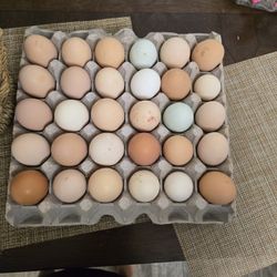 Fresh Farm Eggs