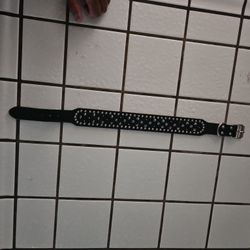 Dog  Collar  Large 