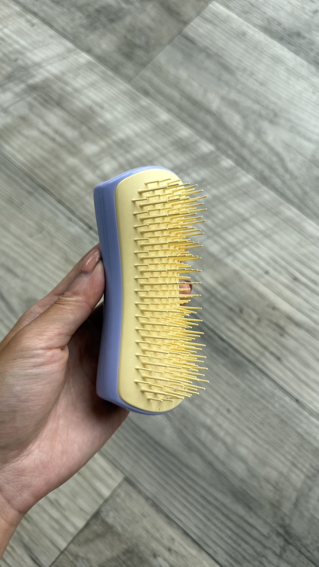 Dog Brush