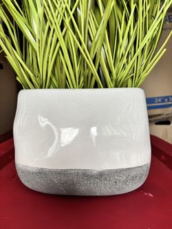 Grass Plant with White & Concrete Planter