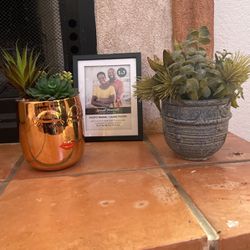 Fake Plants And Picture Frame