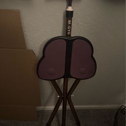 Cane with chair
