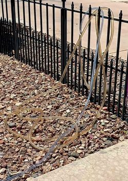 Aquarium gravel vacuum hose 30ft!