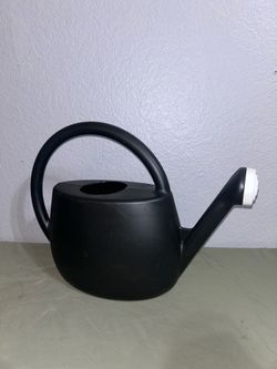 🪴 2 Gallon Black Watering Can