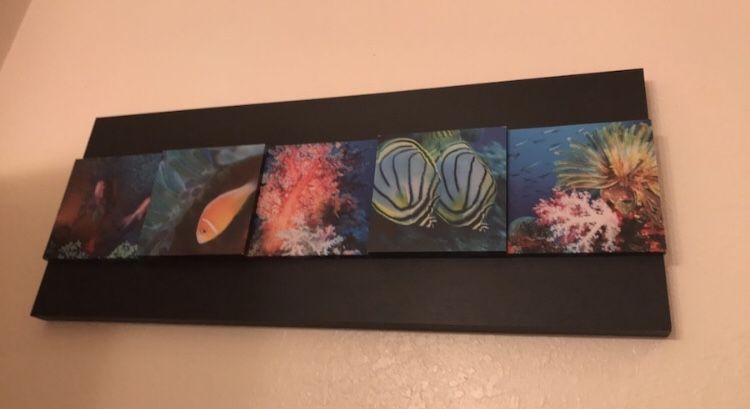 Fish frame