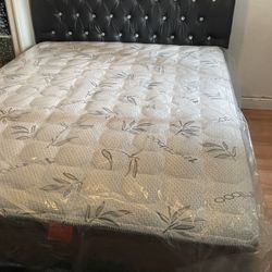 Cama Queen Size Nueva En Caja Incluye Colchon